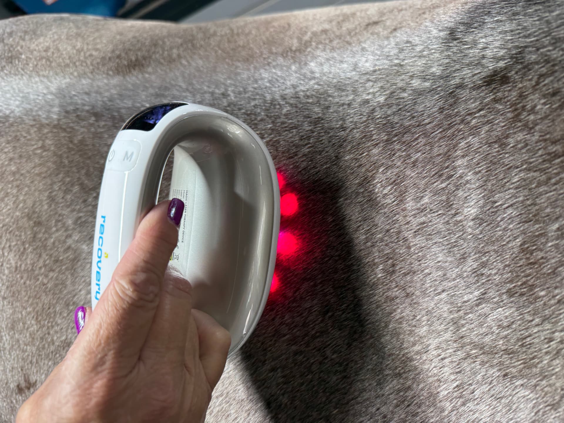 Questrian Recovery with red treatment lights visible against a horse’s coat